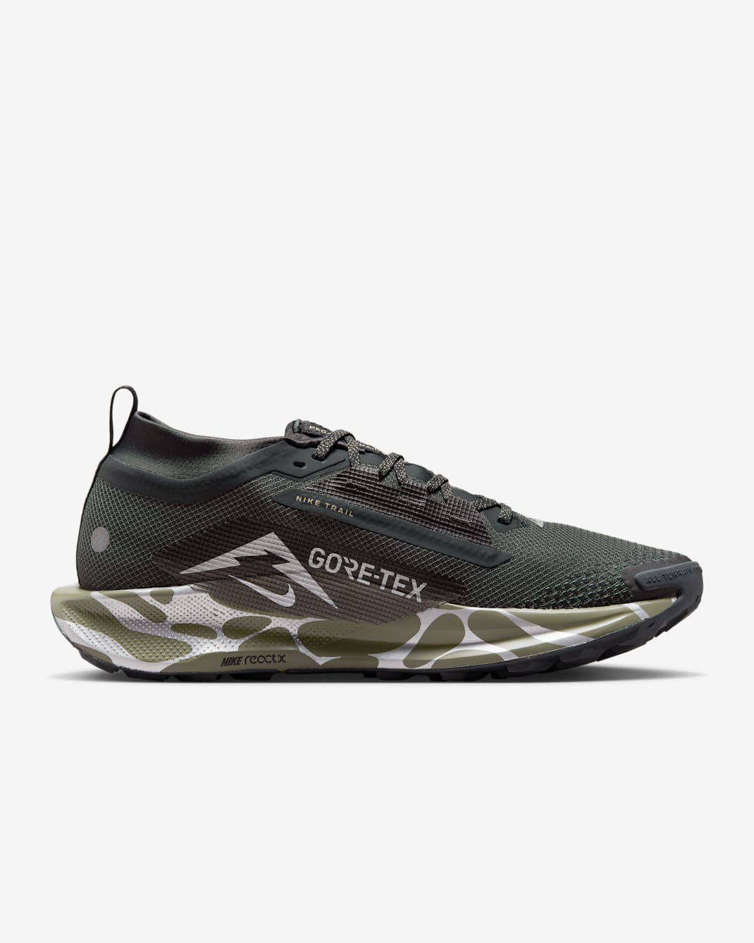 Nike Pegasus Trail 5 GTX